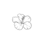 Hibiscus