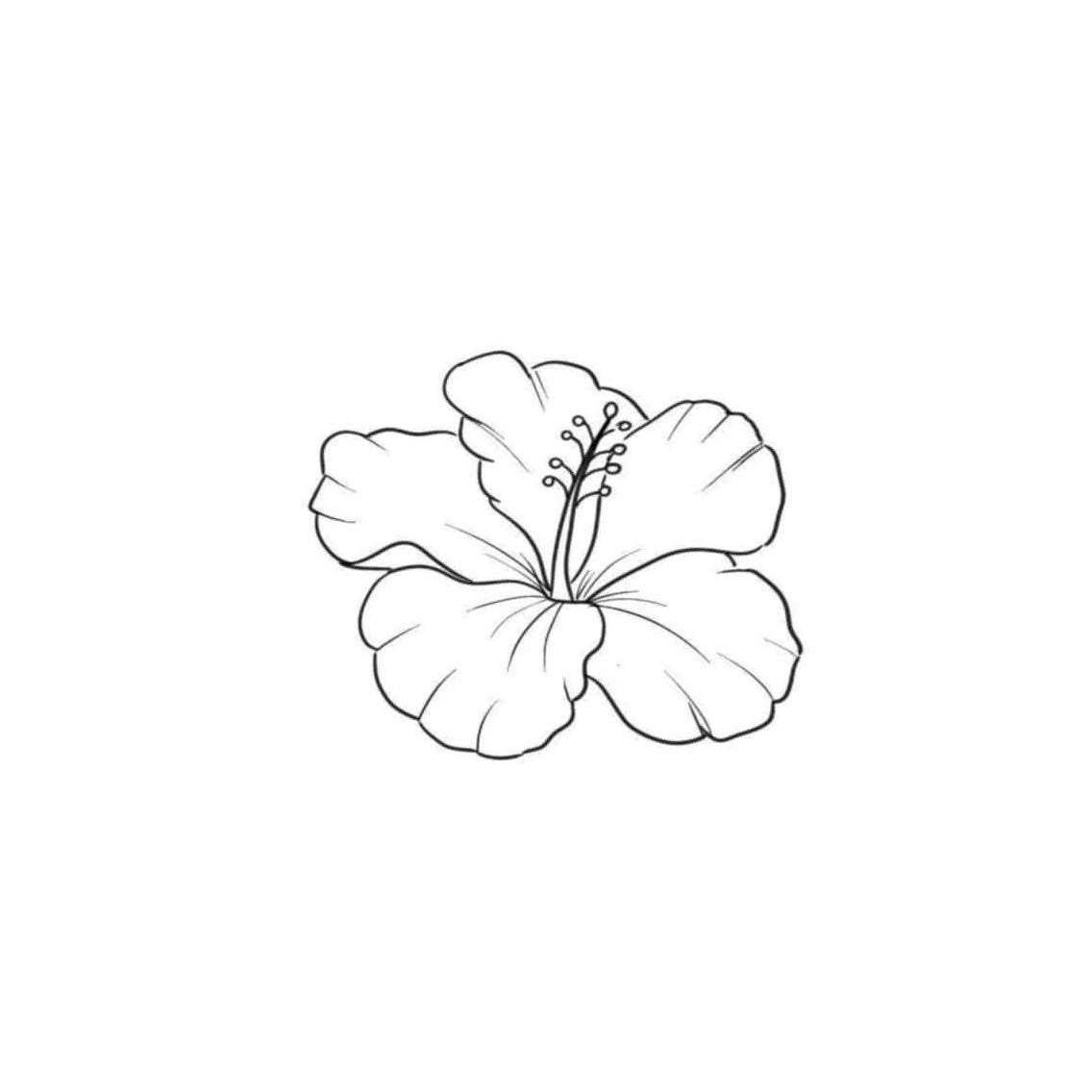 Hibiscus