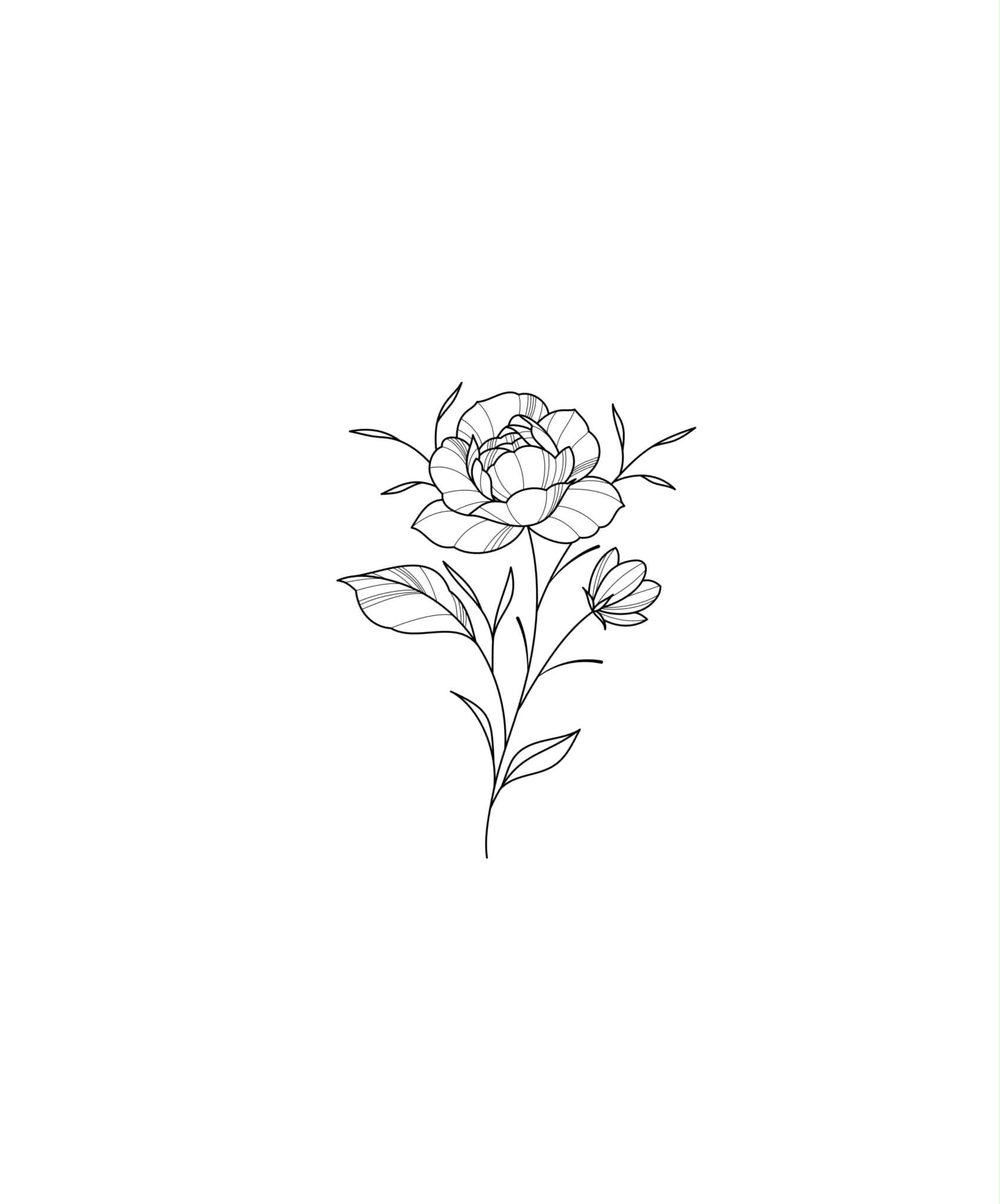 Fleur d'été