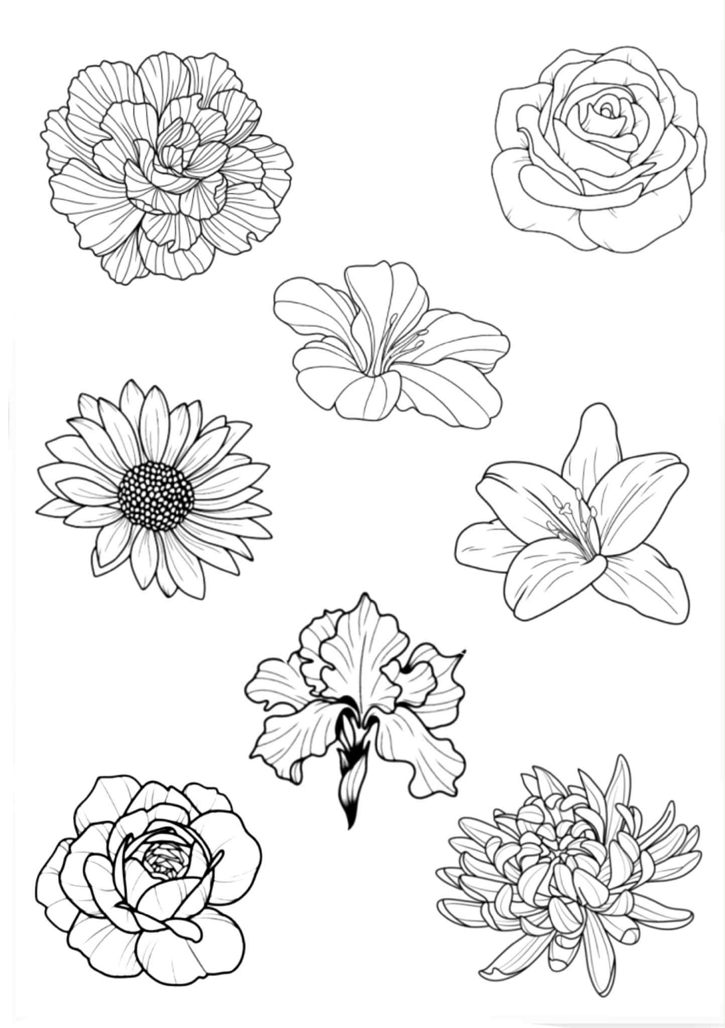 Planche Florale