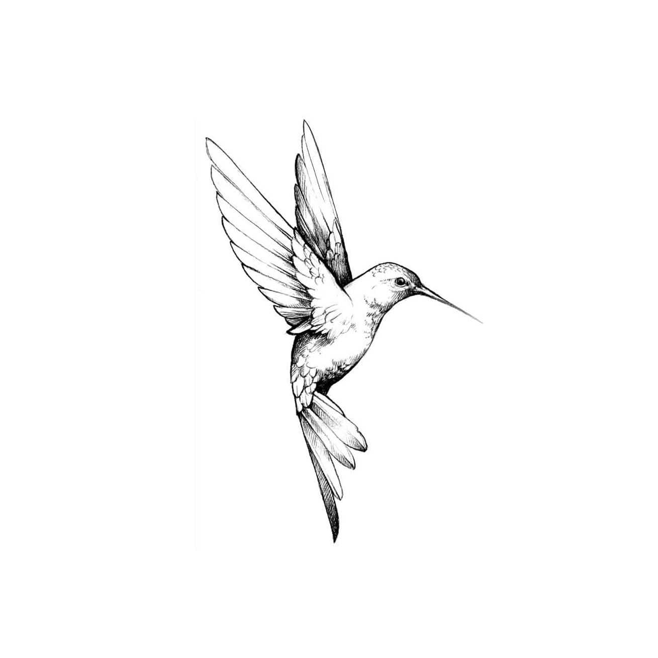 Colibri
