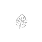Monstera