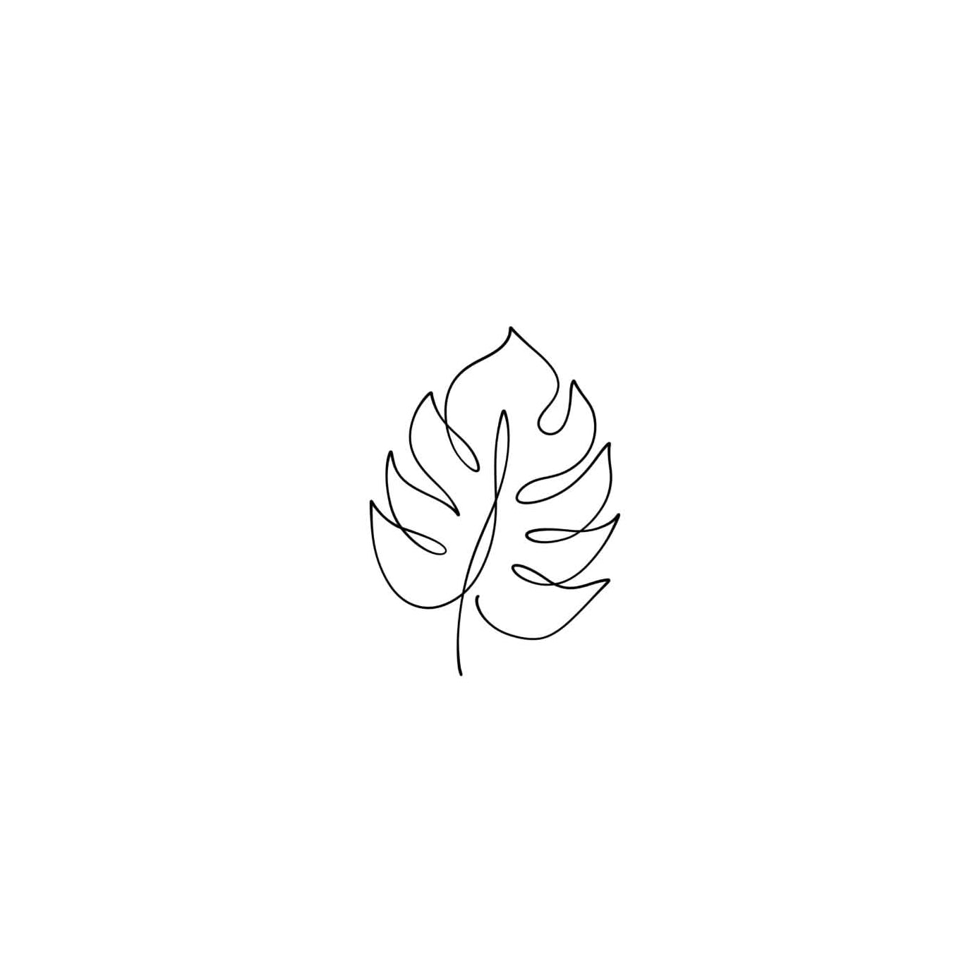 Monstera